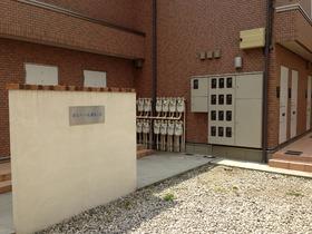 7/16 その他画像