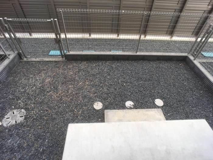 11/28 バルコニー