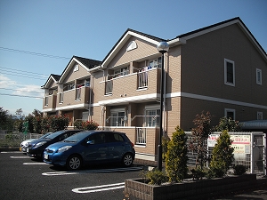 11/20 その他画像