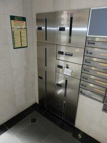 15/17 その他画像