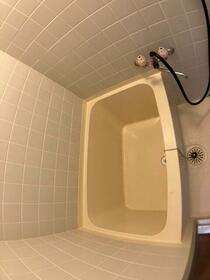 7/16 その他画像