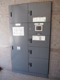 15/16 その他画像