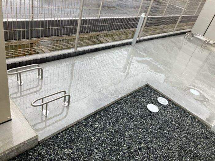 12/29 その他画像