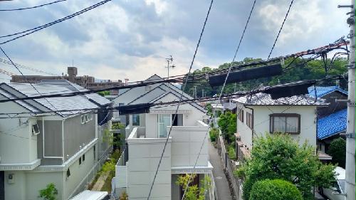 8/17 その他画像