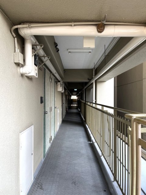 15/29 その他画像