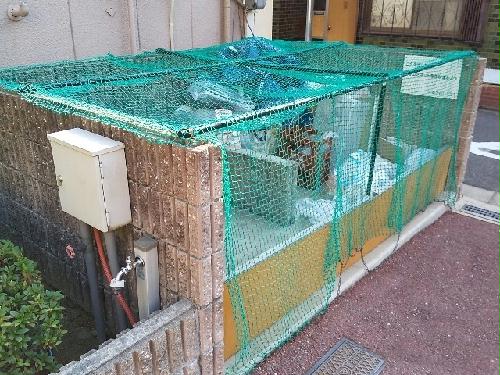 14/24 その他画像