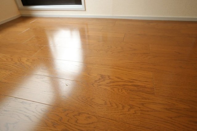 21/24 その他画像