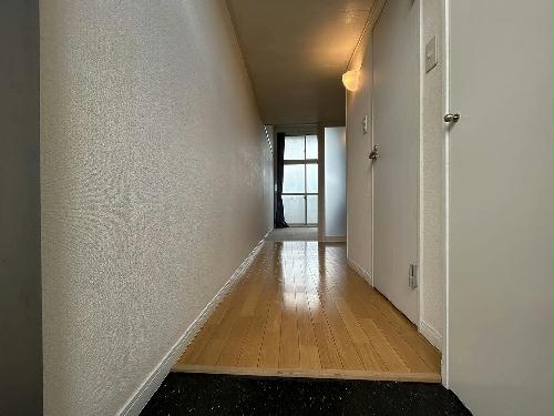 11/19 その他画像