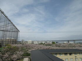 15/24 その他画像