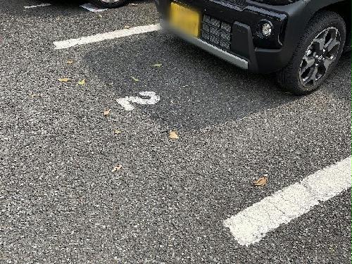 13/14 その他画像