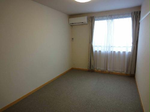 14/14 その他画像