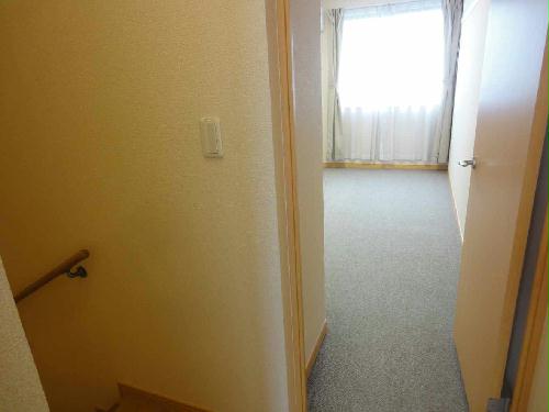 8/14 その他画像