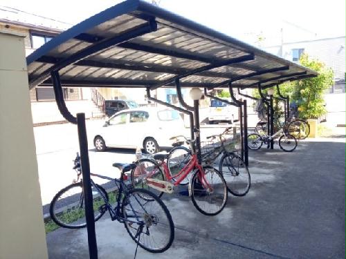 11/20 その他画像