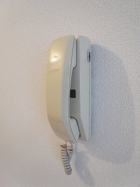 15/17 その他画像