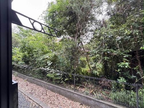 11/14 その他画像