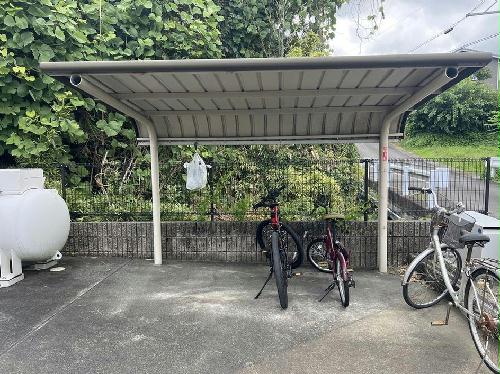 8/14 その他画像