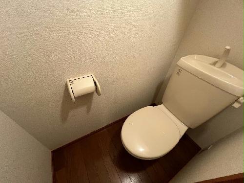 8/14 その他画像