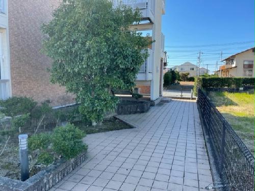 13/17 その他画像