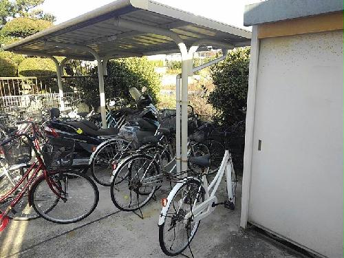 11/14 その他画像