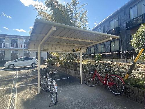 11/14 その他画像