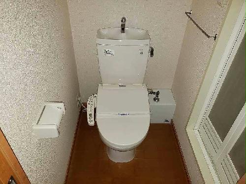 8/13 トイレ