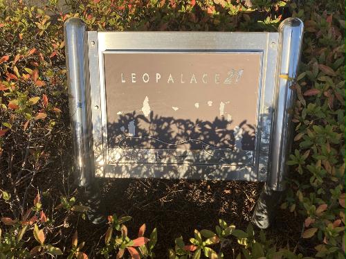 11/13 その他画像