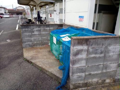 11/14 その他画像