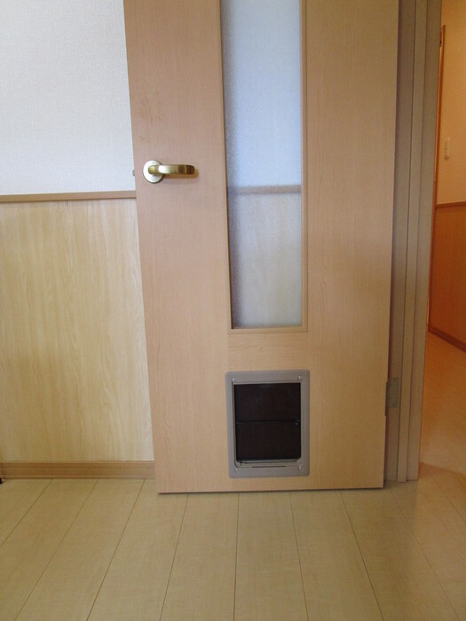 15/20 その他画像