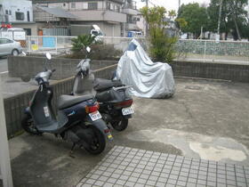 11/15 その他画像