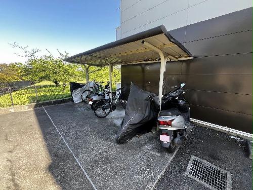 4/20 その他画像