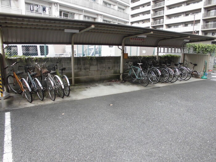 15/20 その他画像