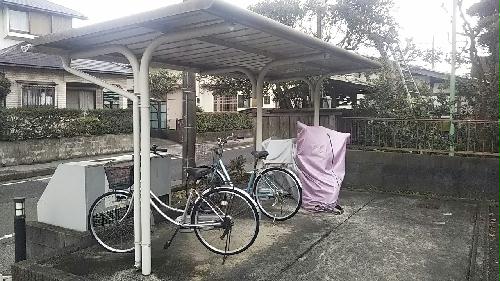 8/14 その他画像