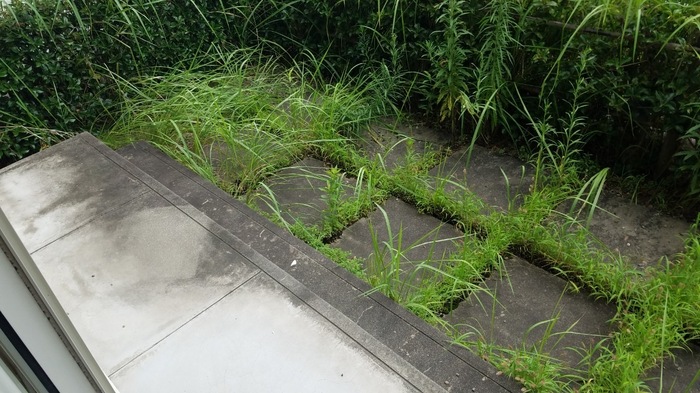 12/15 その他画像