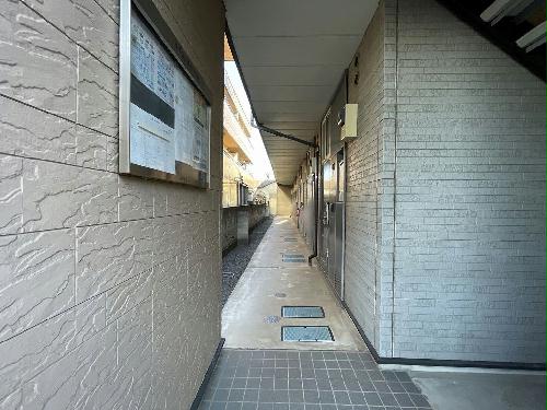 8/19 その他画像