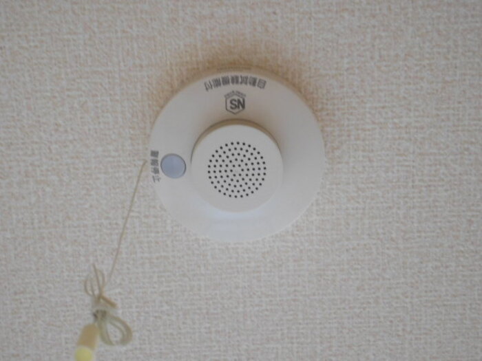 11/14 その他画像