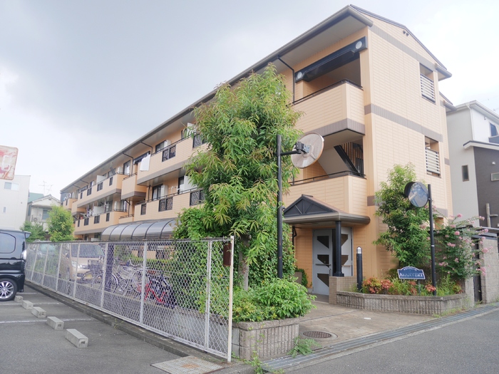 1/29 外観