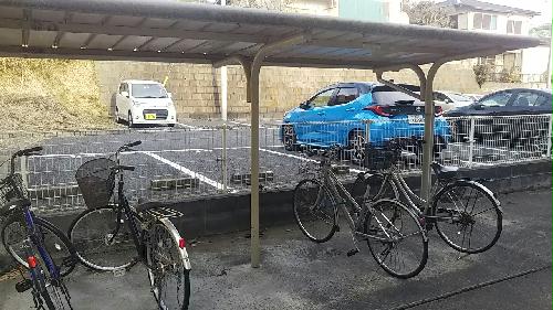 11/14 その他画像