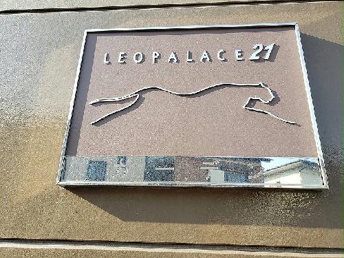 11/14 その他画像