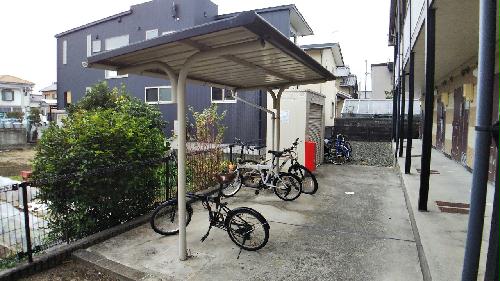 11/23 その他画像