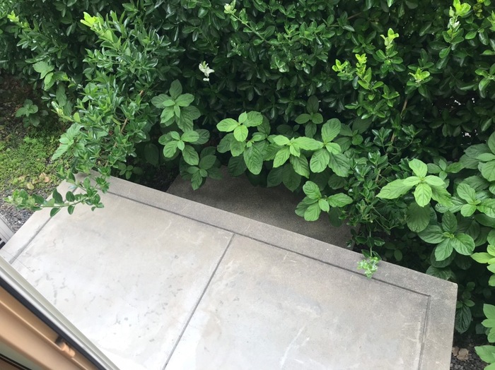 11/16 その他画像