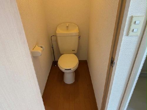 7/13 その他画像