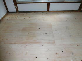 8/14 その他画像