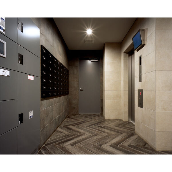 8/17 その他画像