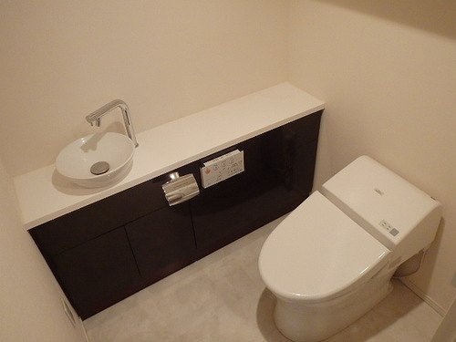 5/11 その他画像