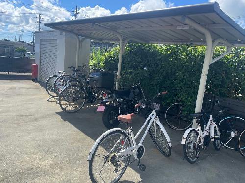 6/14 その他画像