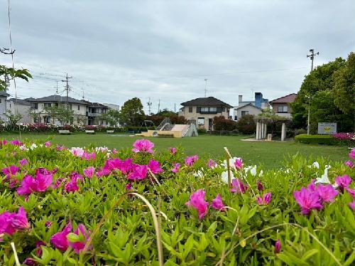 11/14 その他画像