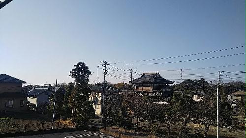 11/14 その他画像