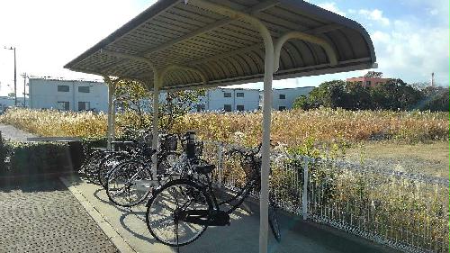 12/14 その他画像