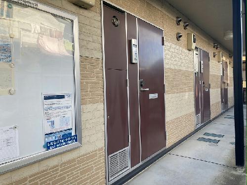 11/14 その他画像