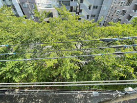 13/16 その他画像